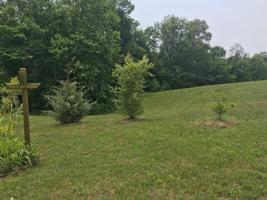 Lot 56 Holly Bend Dr.