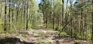 Tract 13 Knob Creek Road