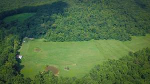 76.41 Ac Livingston Boat Dock Road