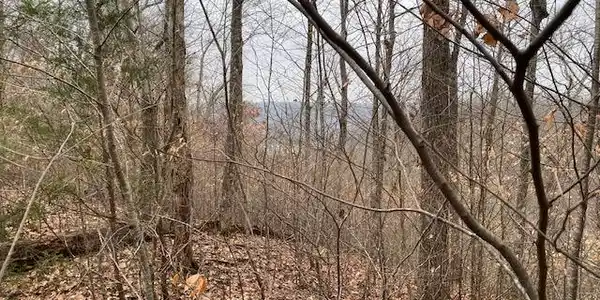 Lot 50 Griffin Trail
