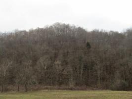 82.90ac Knob Creek Road