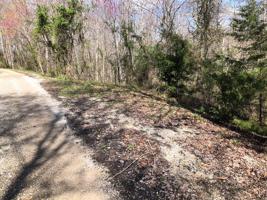 Lot 8 Livingston Hwy