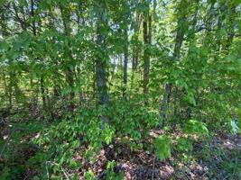 Lot 109 Faix Rd