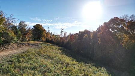 8 Fox Hill Rd