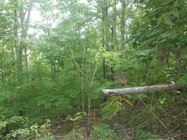 Lot 282 Tennis Center Dr.