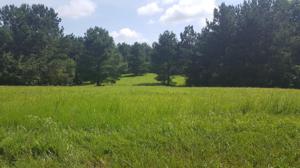 0 Cedar Ridge Ln