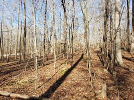3.42 AC. Riverwatch Trace