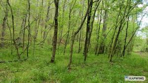 Lot 6 Off Rock Springs Rd