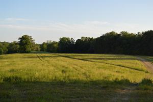 56.98 Ac York Highway