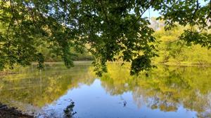 Lot 40 Lake View Dr