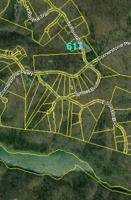 617 Pointe Trl