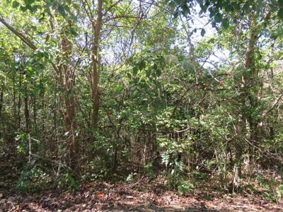 0.40 AC Shoreside Drive
