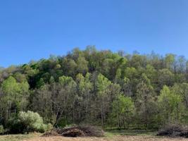 75 AC. H R HUFFER ROAD