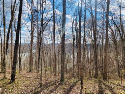 Lot 114 Faix Rd.