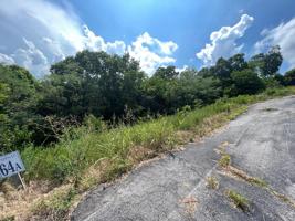 64A Turtle Rd