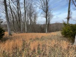 42B Bald Eagle Ln