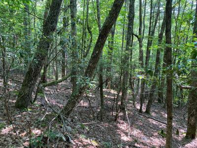 TBD Locust Gap