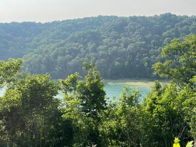 LOT  #11 Obey River Shores