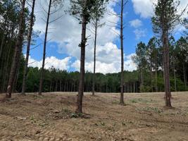 15.76 Ac Newton Rd