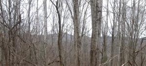 Lot 36 Wood River Ln.