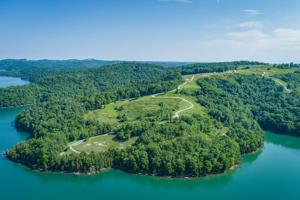 Lot 11 D Bald Eagle Lane