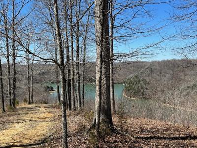 Lot 1 Obey River Shores