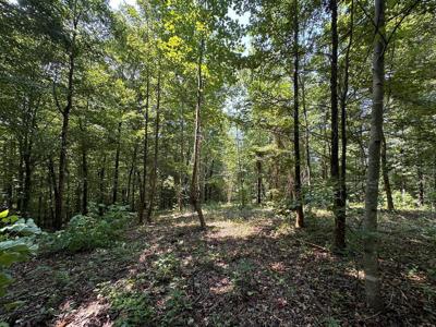 12.55ac Winningham Rd