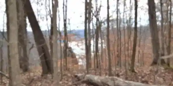 34.15ac Frogue Rd