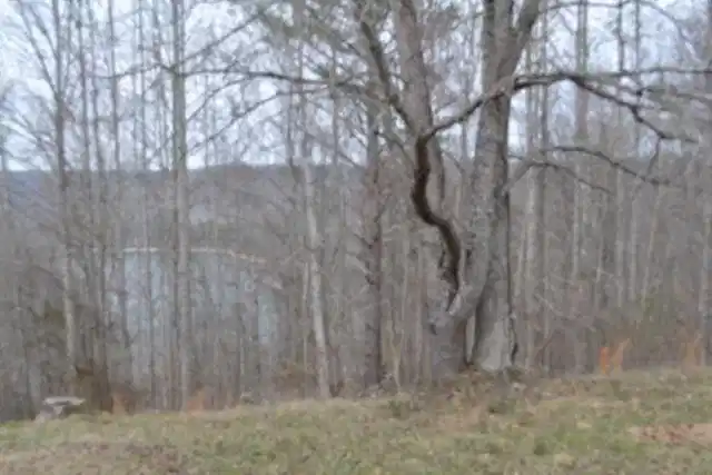 Image 1: Main View