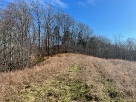 Lot 65AA Turtle Rd