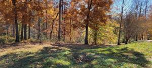 Lot 3 Scenic View Ct. Lot 3