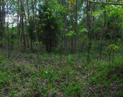 Lot 32 Hidden Cove Lane