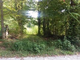 3.79 ac Sunny Point Road