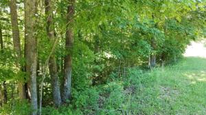 2125 Riverwatch Trace Lot 21-25