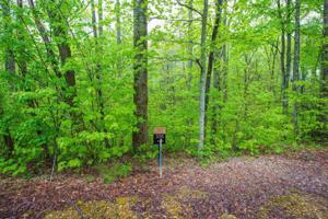 306 Woodcrest Dr
