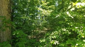 2 Riverwatch Trace Lot 2