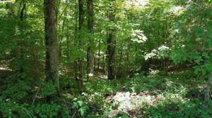 0 Riverwatch Trace Lot 39
