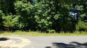 0 Norfolk Dr Lot 31,32