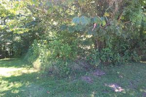 Lot 49 Cunningham Lane