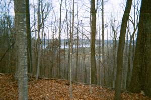 33 ACRES WILLOW GROVE HWY