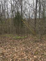 2 ac Cope Cemetery Rd