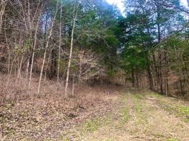 00 Buffalo Valley Road