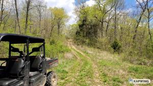 Lot 14 Off Rock Springs Rd