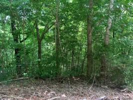 Lot 31 Bay View Drive