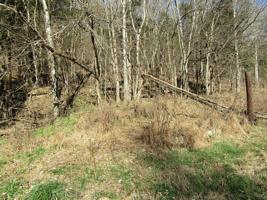8.39 ac Grisham Hollow Lane