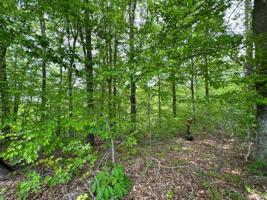 Lot 29 Osprey Ln