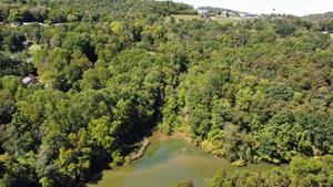 Lot 43 Lake View