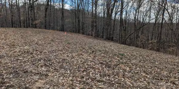 Tract 7 Chestnut Hills Rd