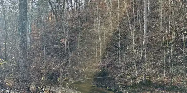 3.02 Peytonsburg-Sulphur Road