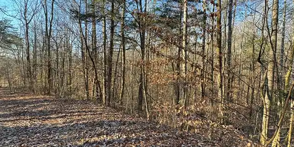 Lot 2-4 Stone Cliff Subdivision
